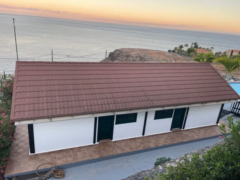 Edificio de madera y palmera canaria sobre el mar